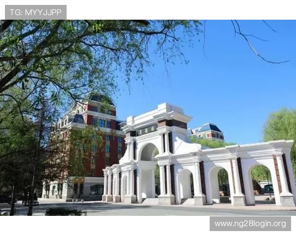 南宫中国：南宫文化产业的发展现状与创新路径探索