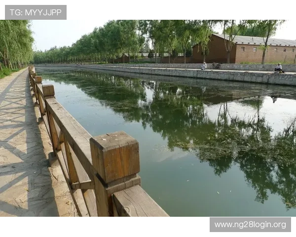 南宫体育网址未来发展规划,持续优化用户体验打造一站式体育平台