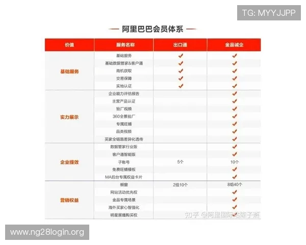 南宫国际站在国际贸易中的优势资源与合作伙伴关系深度分析