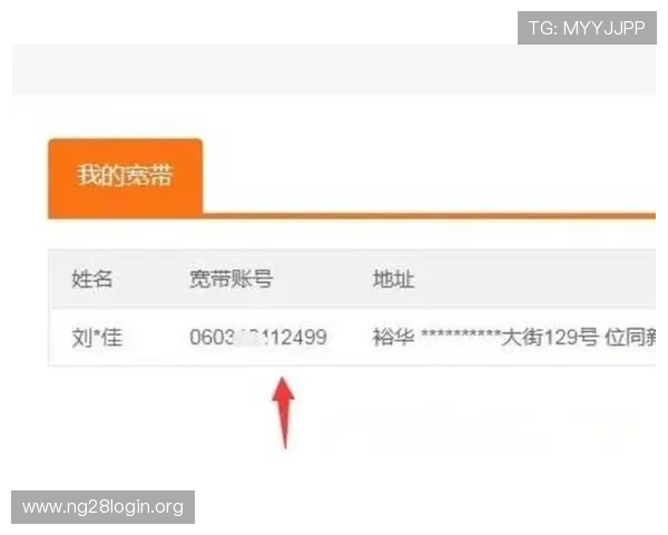 南宫注册中心账号注册成功后常见的后续操作与账号管理技巧