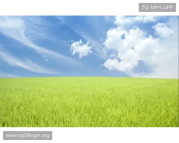 探索真人社交平台如何提升用户信任感与安全保障，打造健康绿色的社交环境